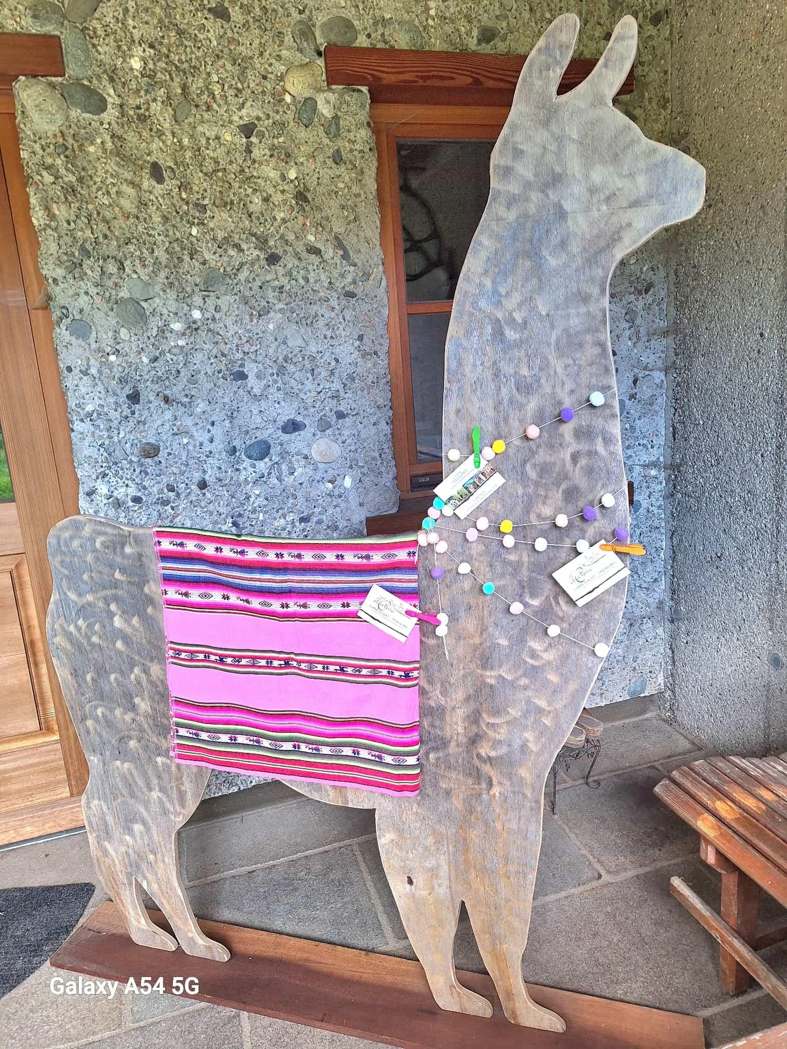 Lama-Trekking in den Bergen